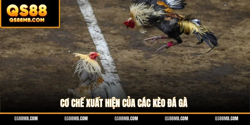 Cơ chế xuất hiện của các kèo đá gà