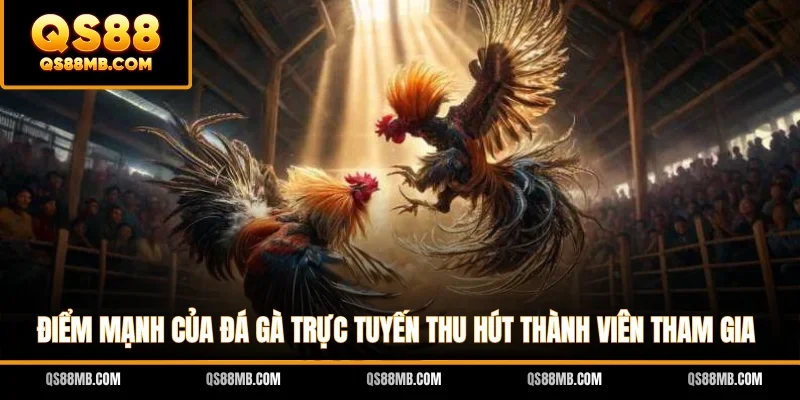 Điểm mạnh của đá gà trực tuyến thu hút thành viên tham gia
