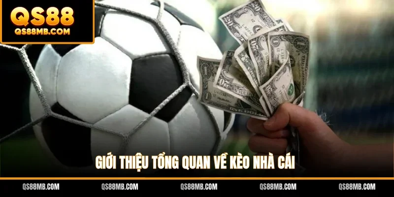 Giới thiệu tổng quan về kèo nhà cái