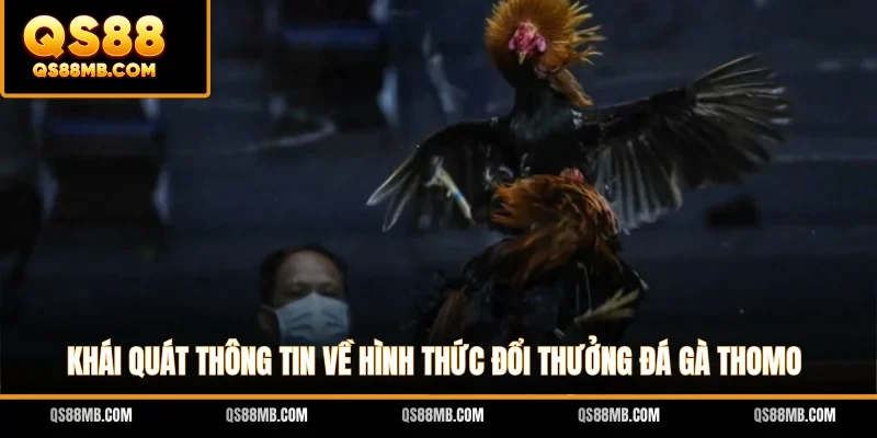 Khái quát thông tin về hình thức đổi thưởng đá gà Thomo