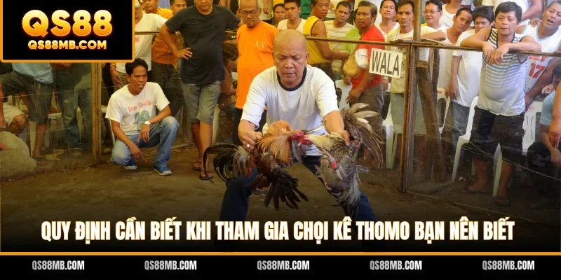 Quy định cần biết khi tham gia chọi kê Thomo bạn nên biết