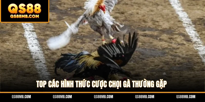 Top các hình thức cược chọi gà thường gặp
